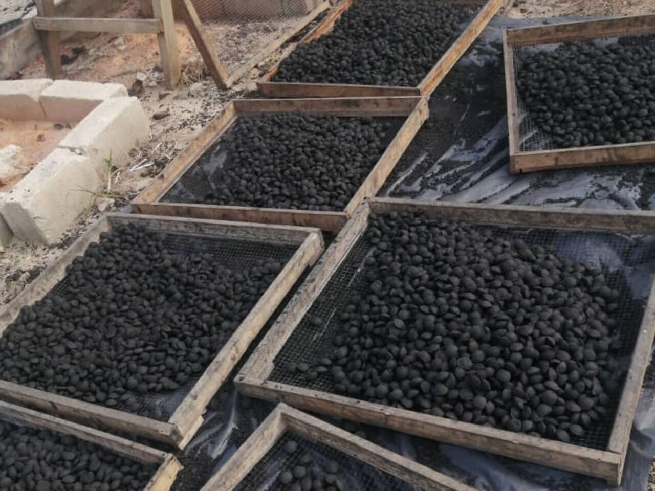 ?Coconut waste is dried and left to carbonize.