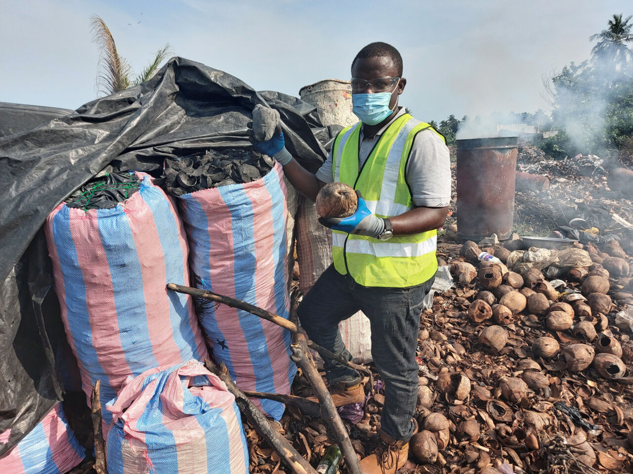 ?Coconut waste is collected and transfered to an isolated location.